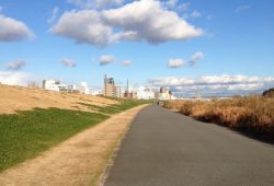 淀川沿いの河川敷を自転車で走る冬の景色